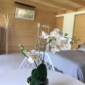 Cabaña Estrella Casa rural